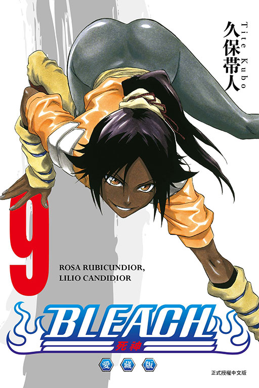 BLEACH死神 愛藏版(9)