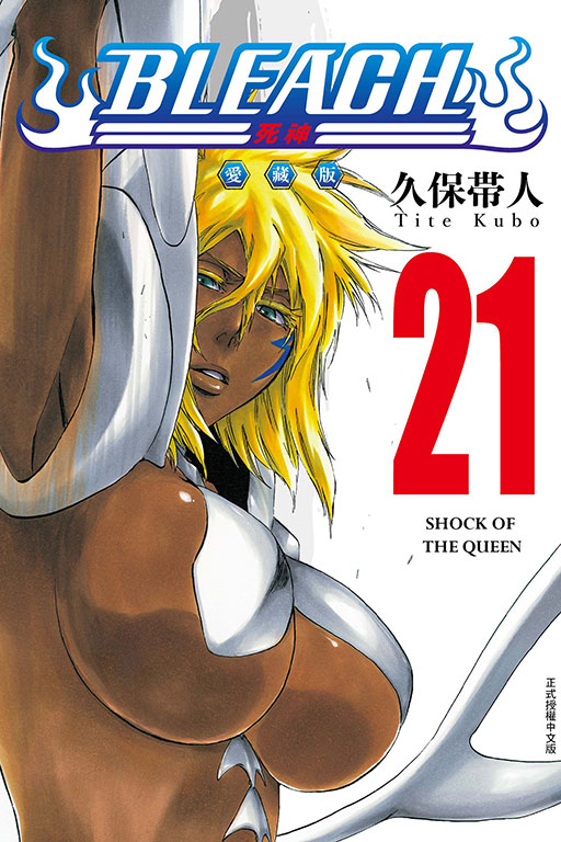 BLEACH死神 愛藏版(21)