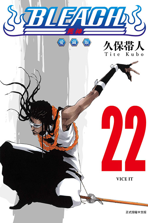 BLEACH死神 愛藏版(22)